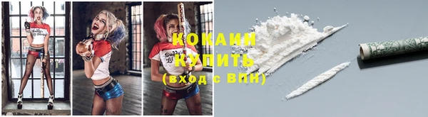 кокс Алексин