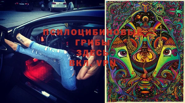 амф Алзамай